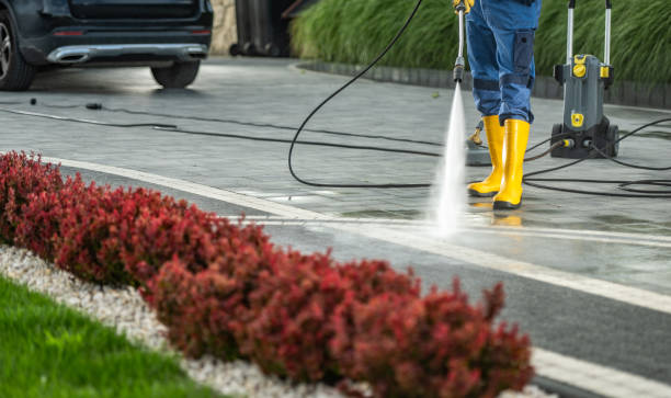 Best Driveway Pressure Washing  in Oak Grove, VA